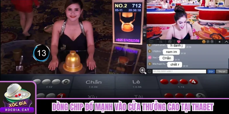 Xóc Đĩa Thabet - Dealer Trực Tiếp Và Cửa 1:12 Nổ Dồn 2 Dòng chip đổ mạnh vào cửa thưởng cao tại Thabet