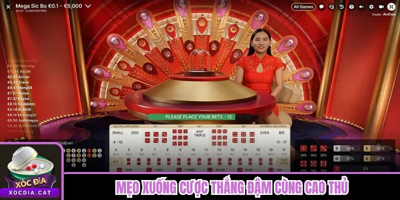 Xóc Đĩa Sunwin - Kiểu Sảnh Hợp Người Thích Soi Cầu Kỹ 3 Mẹo xuống cược thắng đậm cùng cao thủ