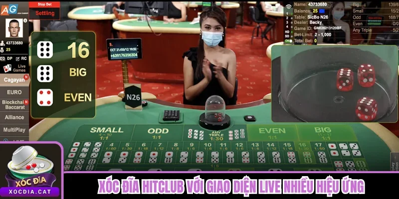 Xóc Đĩa Hitclub - Sảnh Live Tốc Độ Nhanh, Xuống Cược Máu 1 Xóc Đĩa Hitclub với giao diện live nhiều hiệu ứng